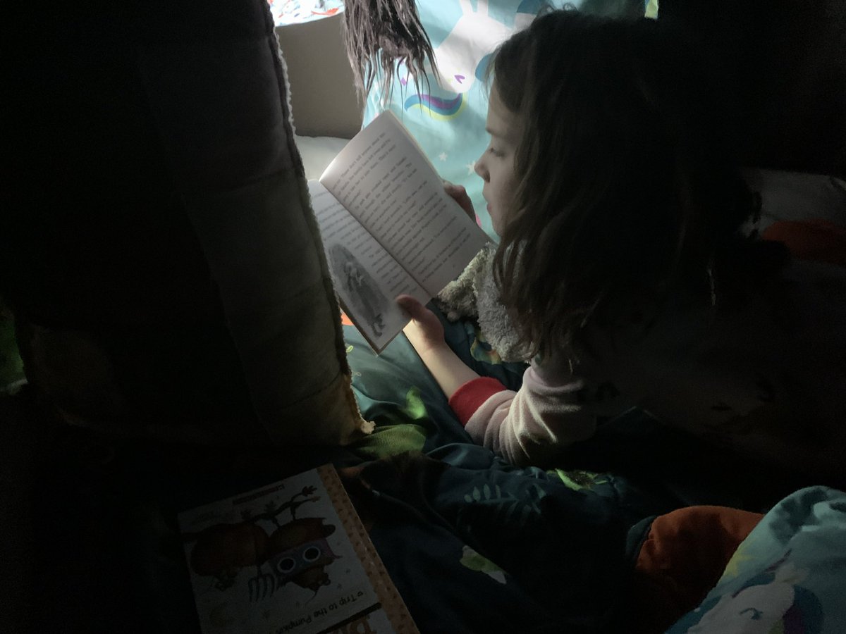 Happy #FamilyLiteracyDay  sharing books and having a bedtime read aloud with my daughter is always the highlight of my day ❤️