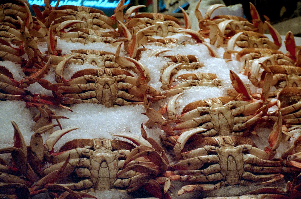 Thacher Groe tweet media