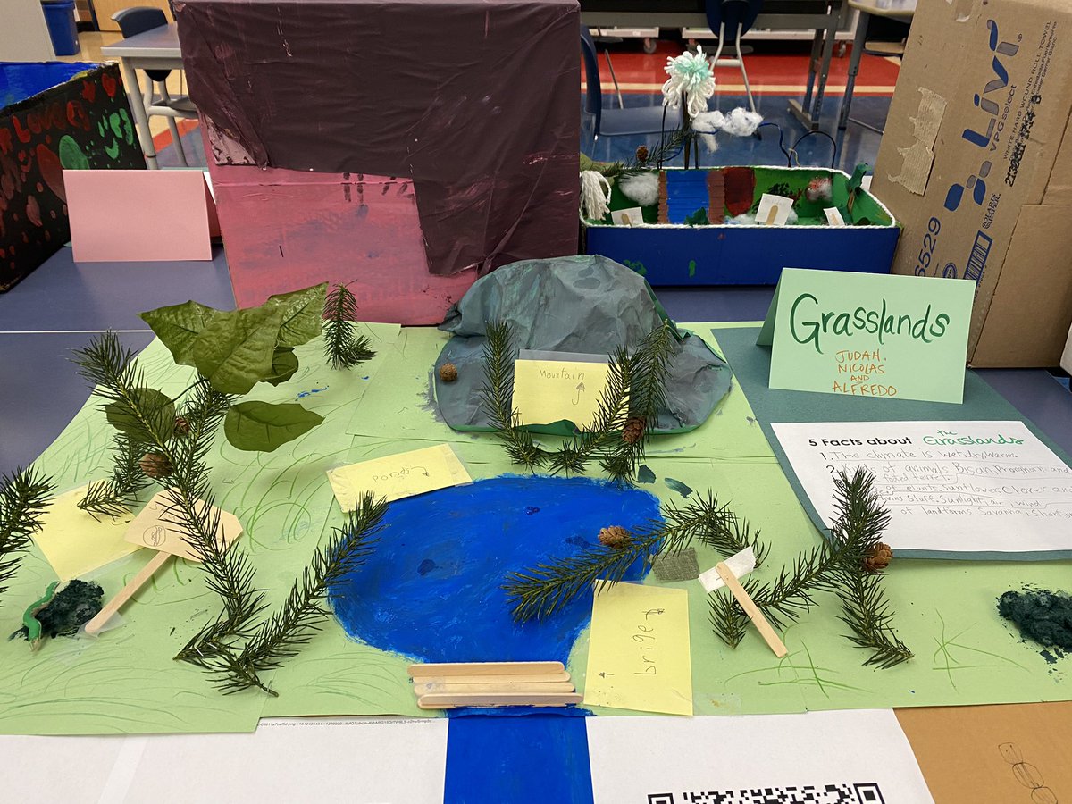 MrsBriem's tweet photo. Ss finished ecosystem projects and we hosted a gallery walk today. Here’s a few, wish I had space to share all. I’m so proud of their creativity and effort! https://t.co/E6Rf7vluV9