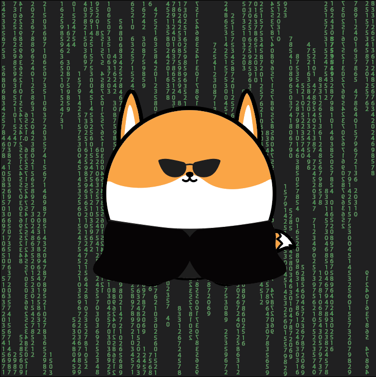 Roundles NFT | Roundleverse tweet media