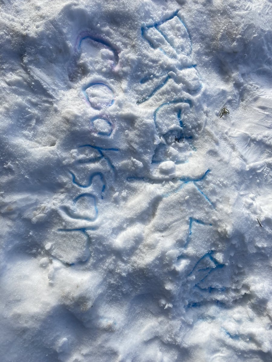 Today we discovered that dried out markers work in the snow. Some students coloured, some made shapes, and some practiced their printing #FamilyLiteracyDay #hcdsbk