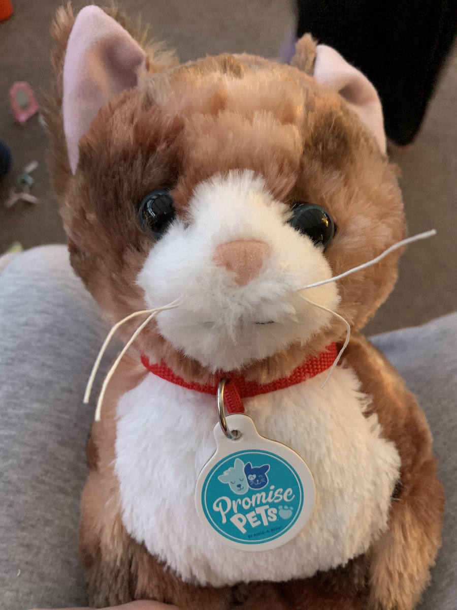 Michelle Mountford tweet media