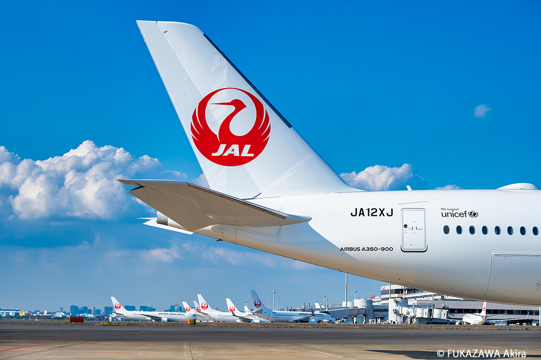 Japan Airlines Jal Jal Official Jp Twitter
