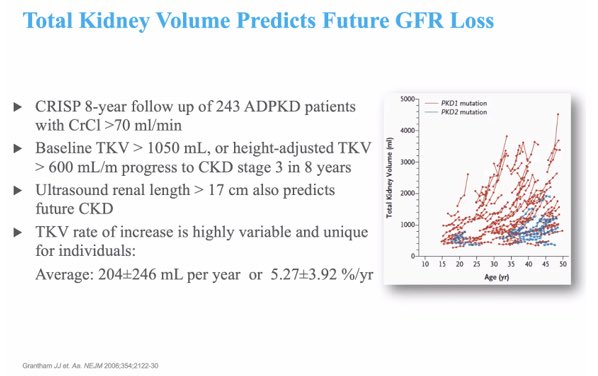 Memorial Sloan Kettering Nephrology tweet media