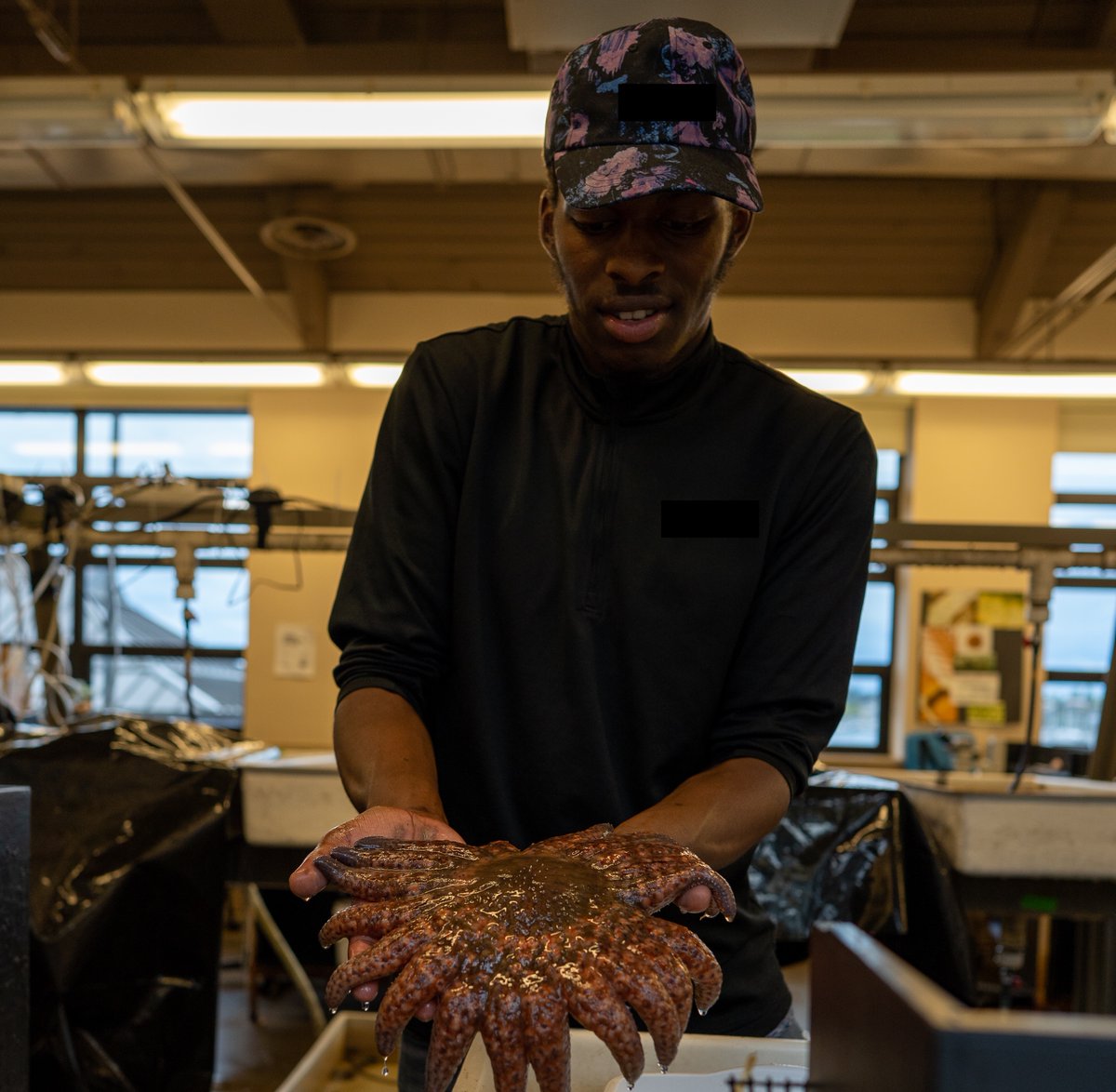 MarineBiol_FHL's tweet photo. We received wonderful news today that our NSF grant for the REU Summer Internship program is approved! That means will be able to take a full cohort of students this summer. https://t.co/dazIVyFxqx