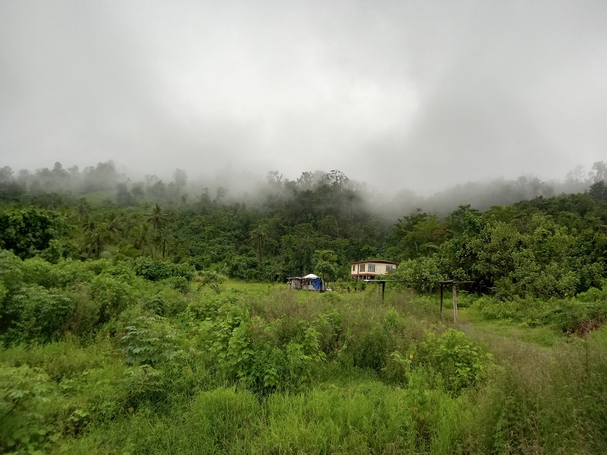 keluburotu's tweet photo. Purely obsessed with this place RN 😍 
#nakoroliving #Bua 🤙
#mistyworld https://t.co/EiK2opk1s9