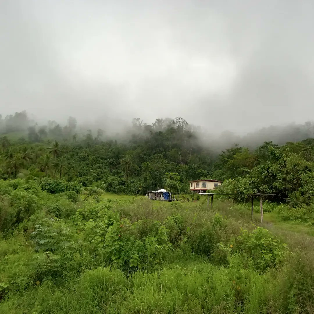 keluburotu's tweet photo. Purely obsessed with this place RN 😍 
#nakoroliving #Bua 🤙
#mistyworld https://t.co/EiK2opk1s9
