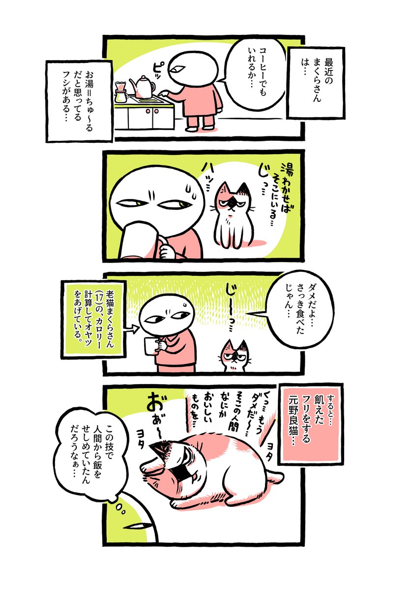 うちの猫さんはおねだりが露骨 