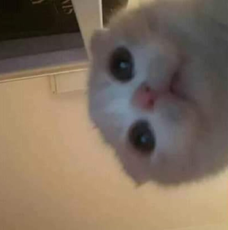 IMoonLyz's tweet photo. Me siento bien de bajada...

@official__wonho puedes venir por mi? 😔 https://t.co/F8QpcKnOrj