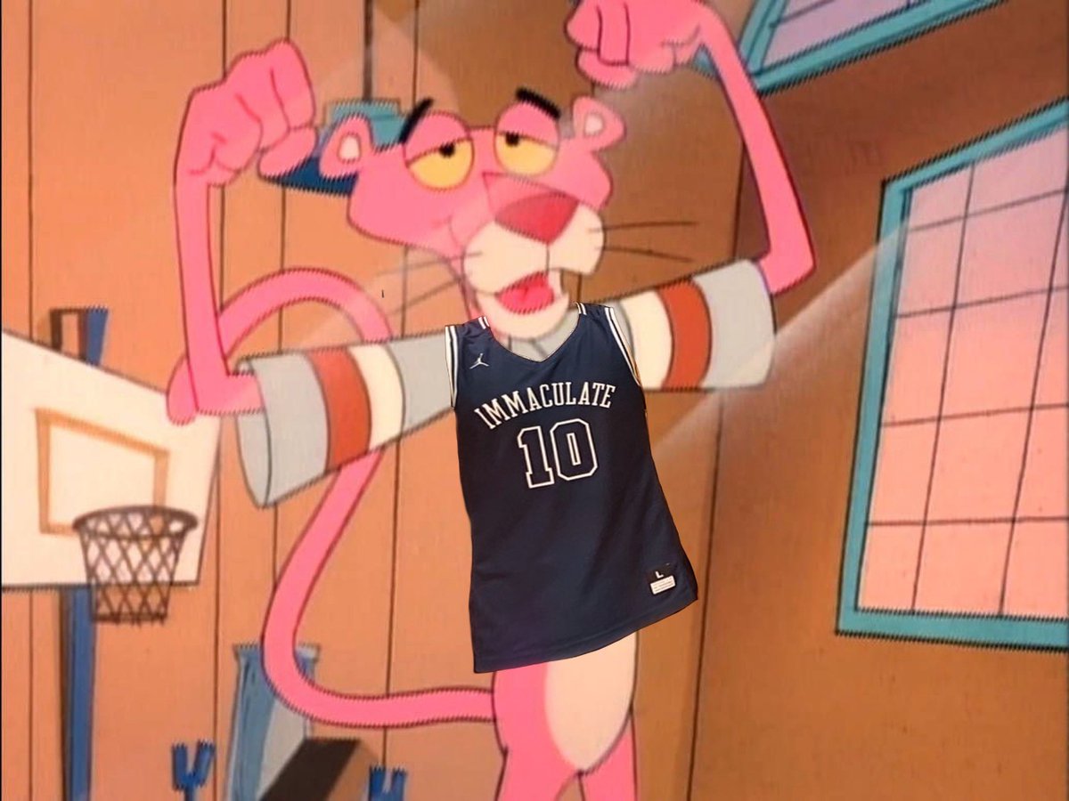 IMMACULATE STABLE tweet media