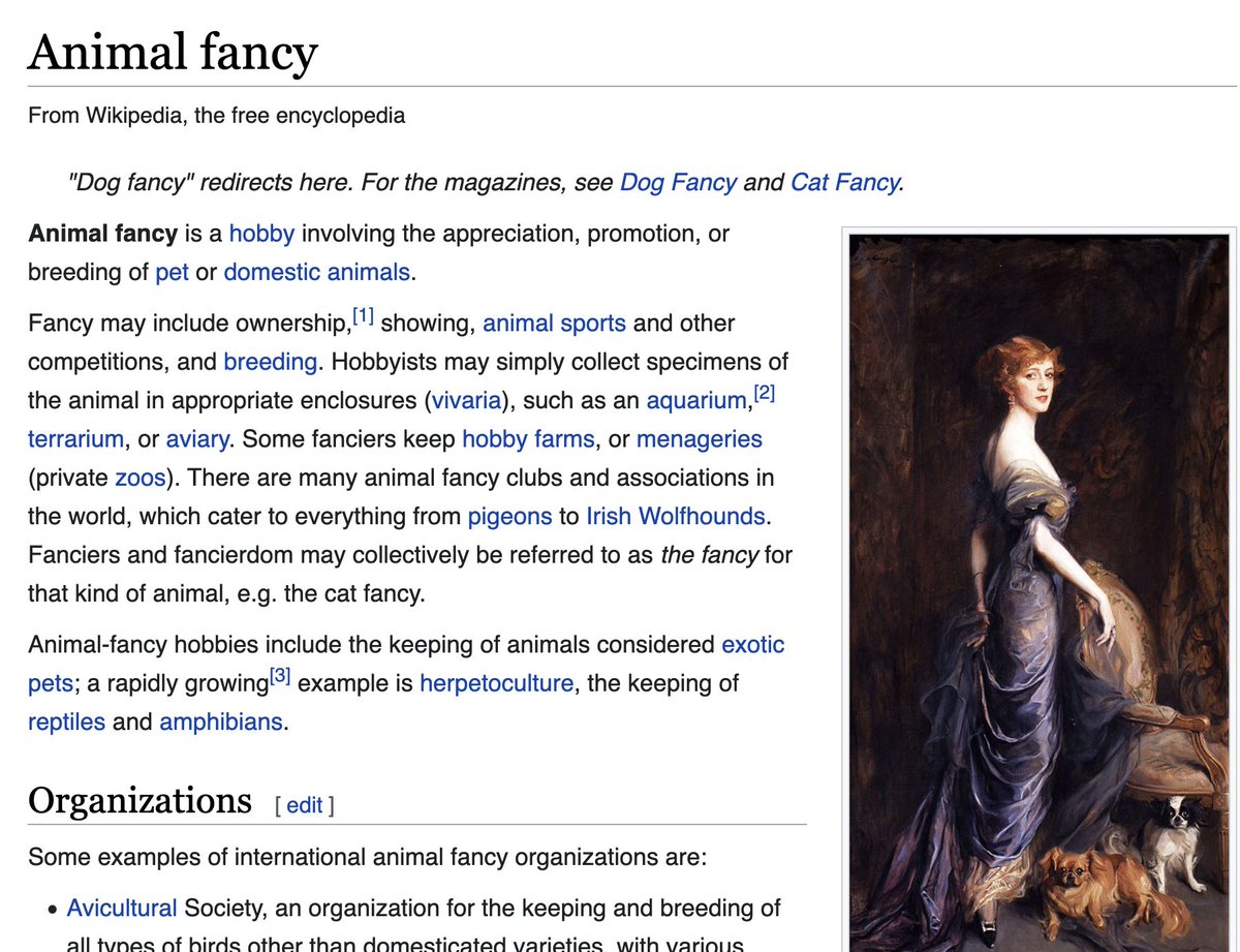 Emi Noguchi 野口恵美 tweet media