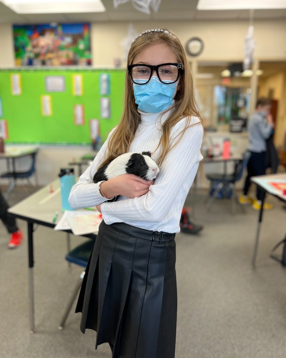 RenbrookSchool's tweet photo. Marigold makes the cutest fashion accessory, doesn't she? #renbrookschool #bringinglearningtolife #wearerenbrook #guineapig #classpet https://t.co/QvsJ30Gv6e