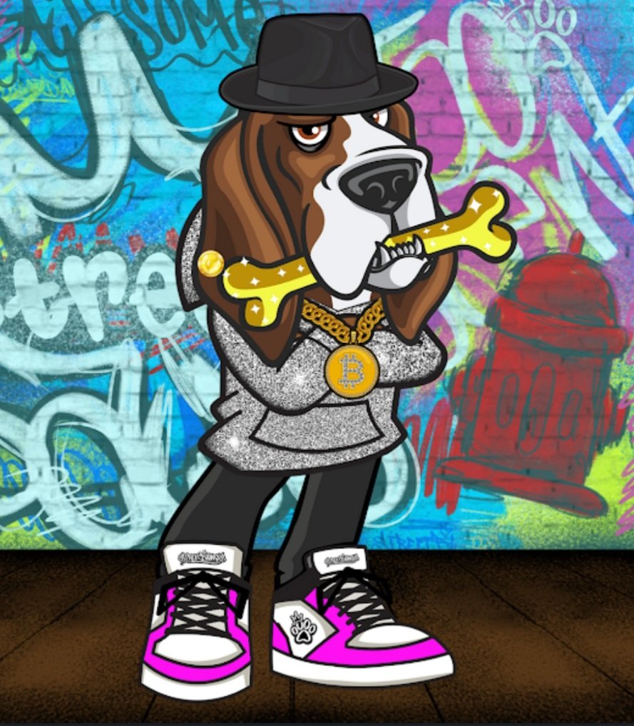 𝕾𝖙𝖗𝖊𝖊𝖙 𝕯𝖆𝖜𝖌𝖘 tweet media