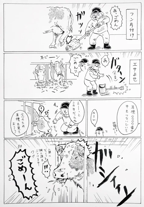 『ごめん』

牛舎の中で一番口にしてる言葉だと思う。

ごめん🐄 