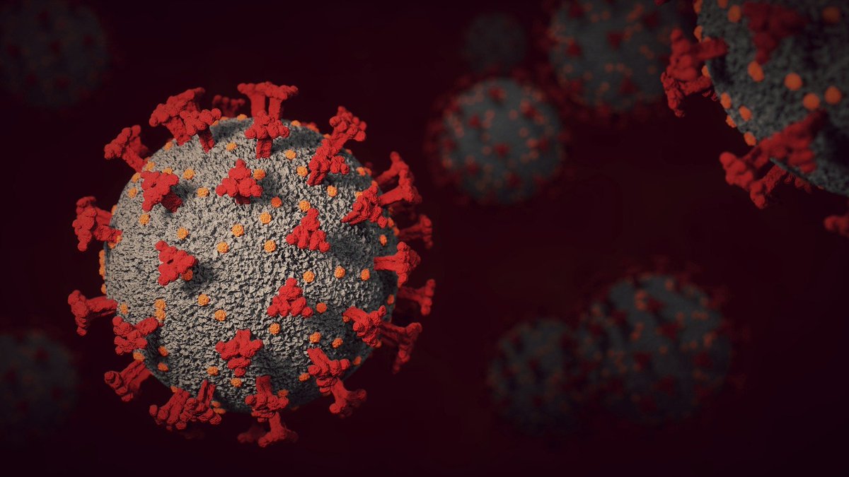AusSMC's tweet photo. 🧬Should we be worried about the new #Omicron sub #variant #BA.2 ?
💬Experts from @Sydney_Uni @KirbyInstitute @UNSW and @CSIRO help answer the question
👀Check out what they have to say over on #Scimex -
https://t.co/xa18Slnblc https://t.co/3bOWcKv9G5