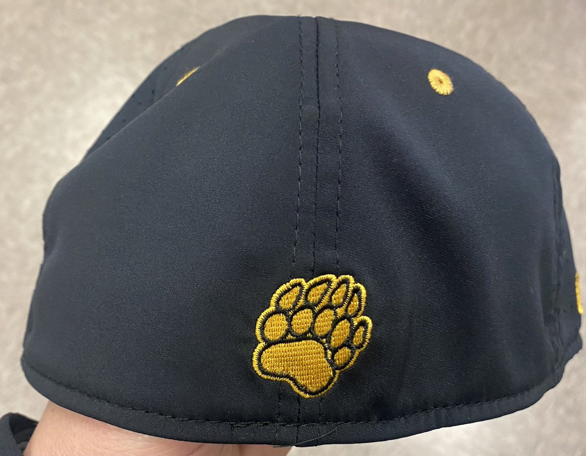 CoachTaylor_4's tweet photo. Big Thank You to @CoachCollier16 and @LincolnBearsBB for this sharp hat and the awesome logo on the side honoring a great man!
#BearDown #ForByrd https://t.co/gaifUjq26B