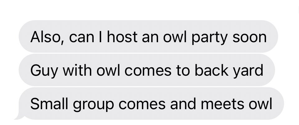 Meg Ryan tweet media