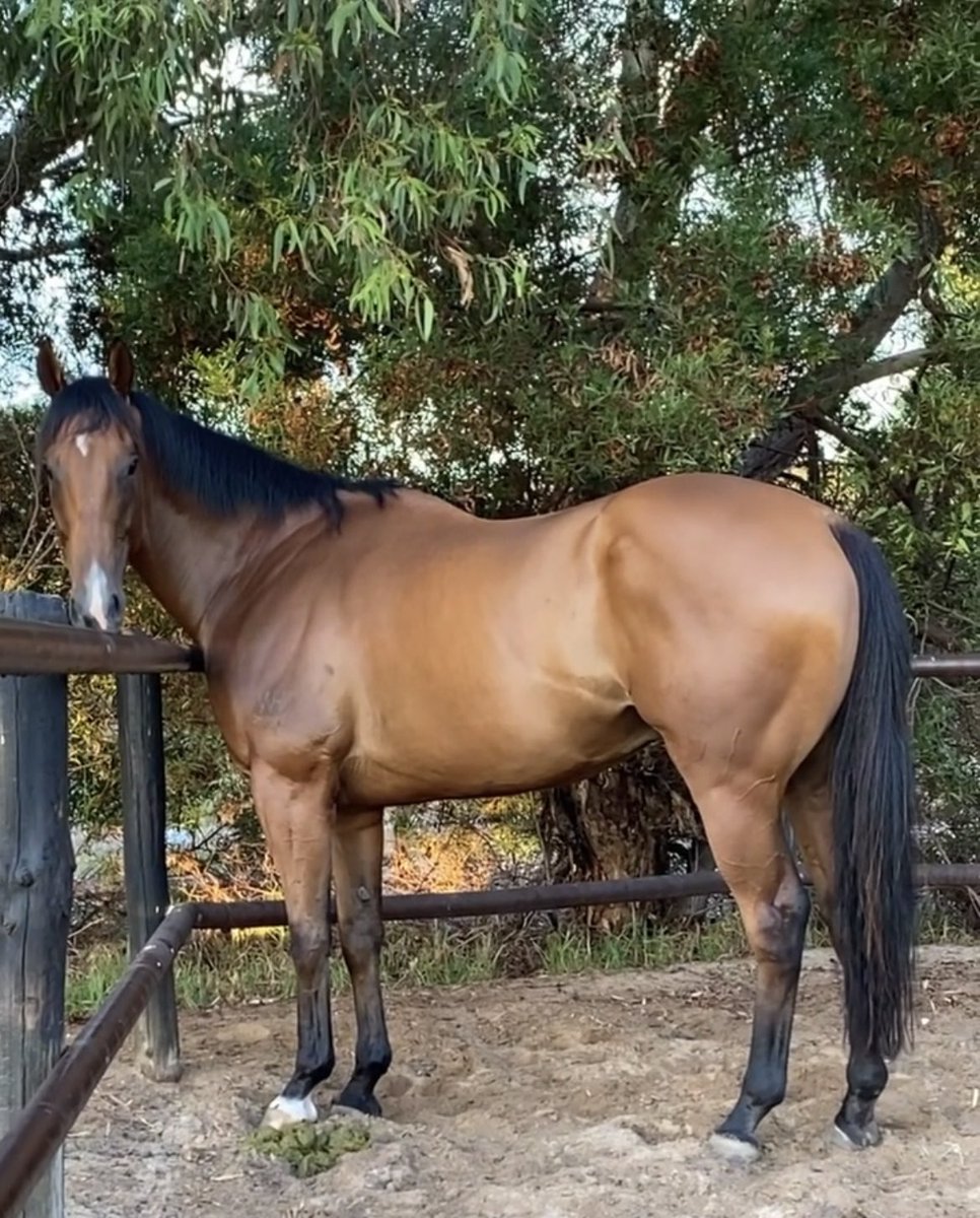 GrandSyndicates tweet picture