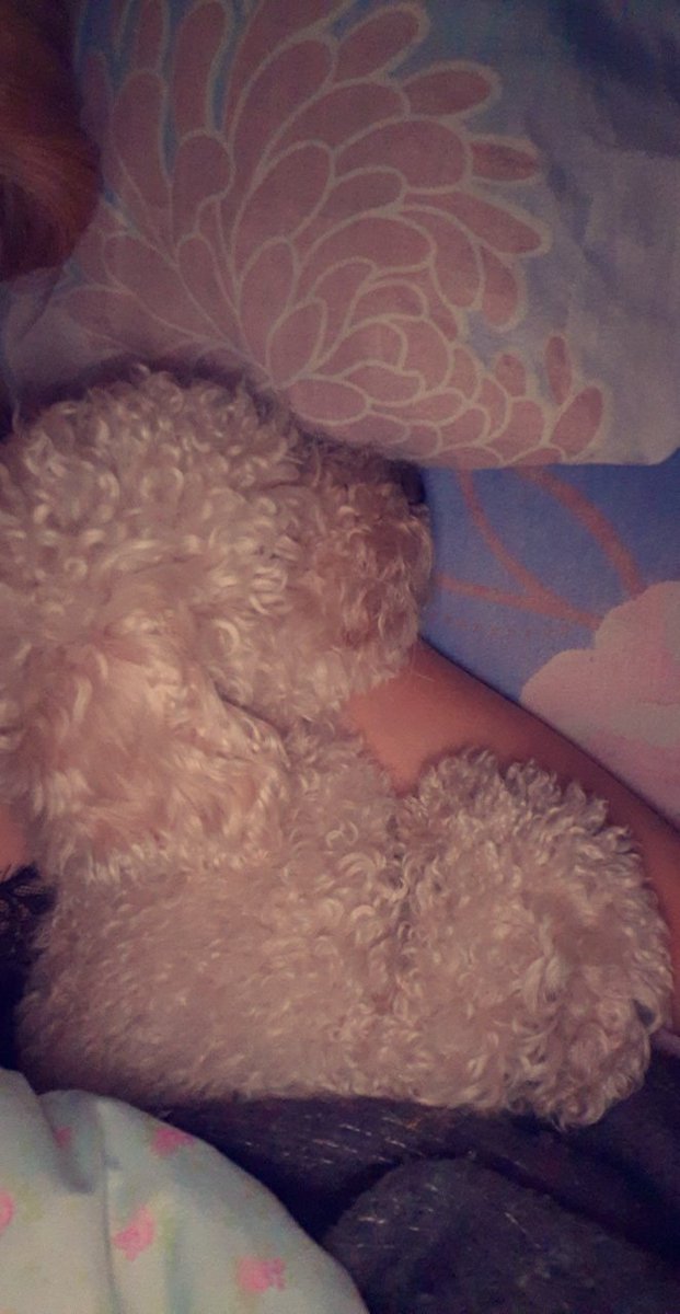 Ludmiocampos7's tweet photo. @Kevinszn Cada uno duerme como quiere 💖 https://t.co/n9g1TWP0H9