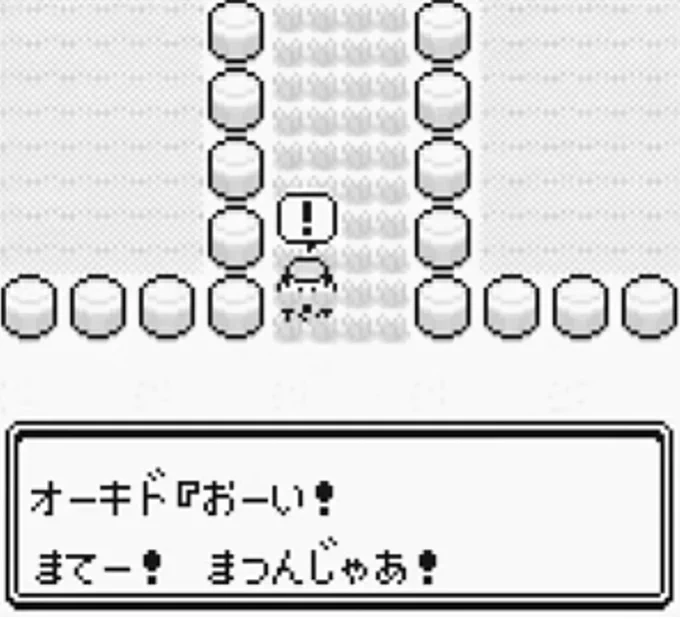 オーキドのじいさん、過剰な心配に感じてたけど正しかったんだね。 
