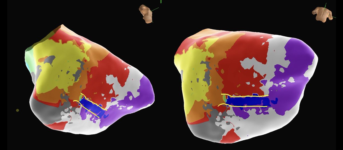 Xavier Richmond tweet media