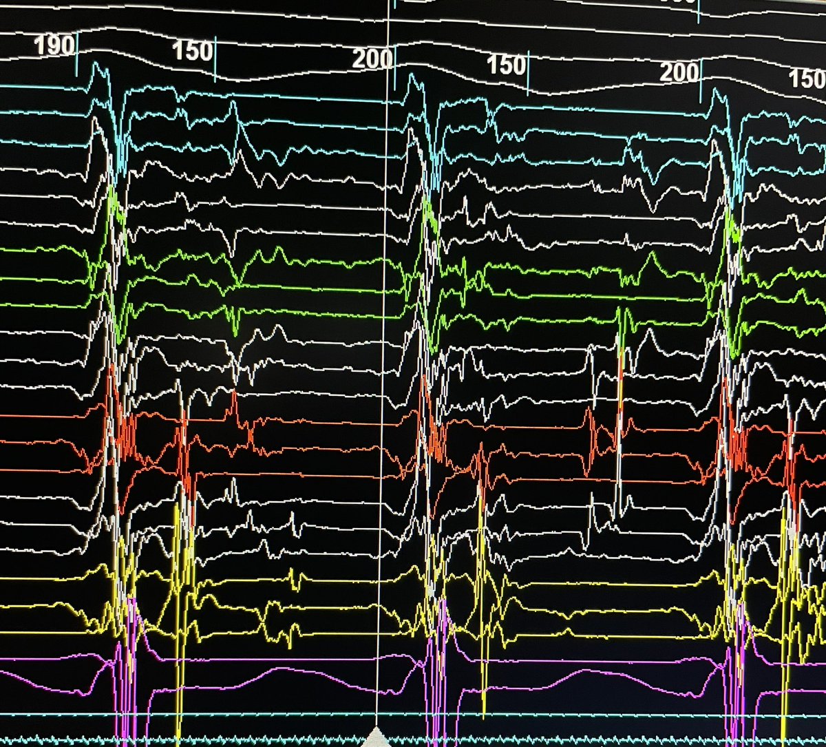 Xavier Richmond tweet media