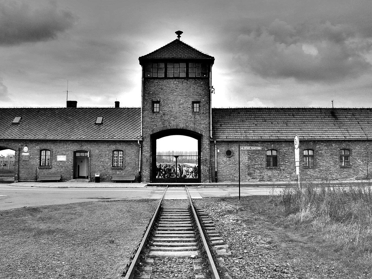 chala_lab's tweet image. Today marks the liberation of Auschwitz but not the end of anti-semitic attacks. To the many family members I lost during the Holocaust and the generational trauma we carry and fight through each day #WeRemember #HolocaustMemorialDay #HolocaustRemembranceDay