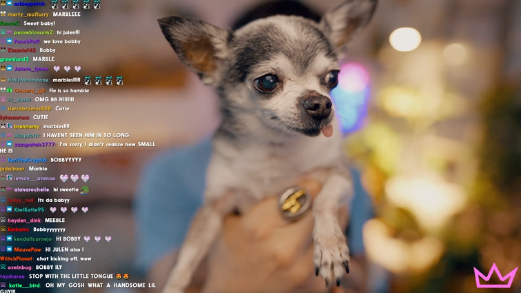 The Nasty Files📁 tweet media