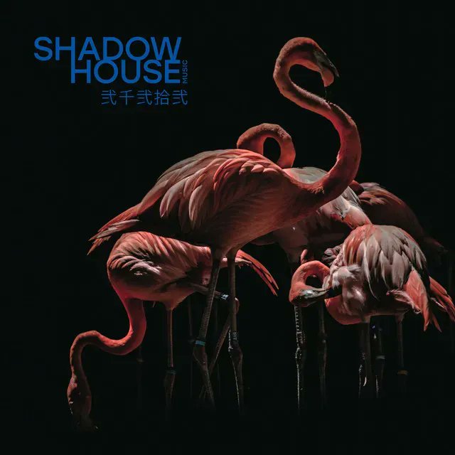 Melbourne_CM's tweet image. Missing #creativemornings while we're on a break?

We have just the cure for that! Shadow House has just released a new EP featuring some of the snazzy tunes you would have heard playing each month. Direct to your ears, all day long 🎧 #cmmelb

buff.ly/3Av9oCK