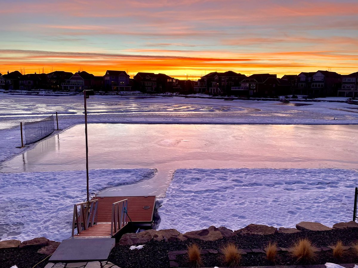 Lisa Longball tweet media