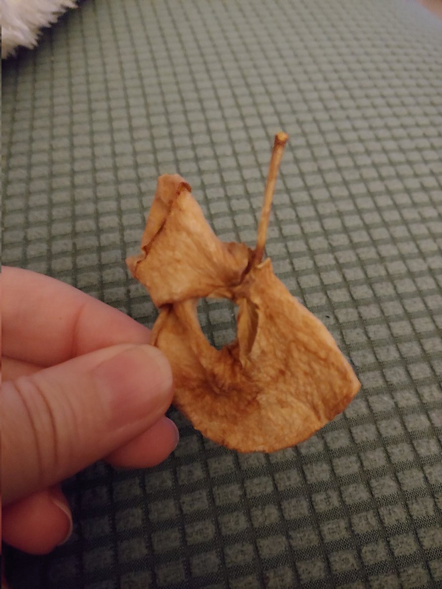 The OGSG (Sarah G) tweet media