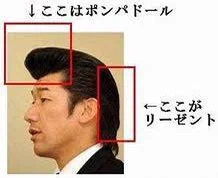 @Spaaades こめかみから後頭部のデザインがリーゼント!?でいい筈 
