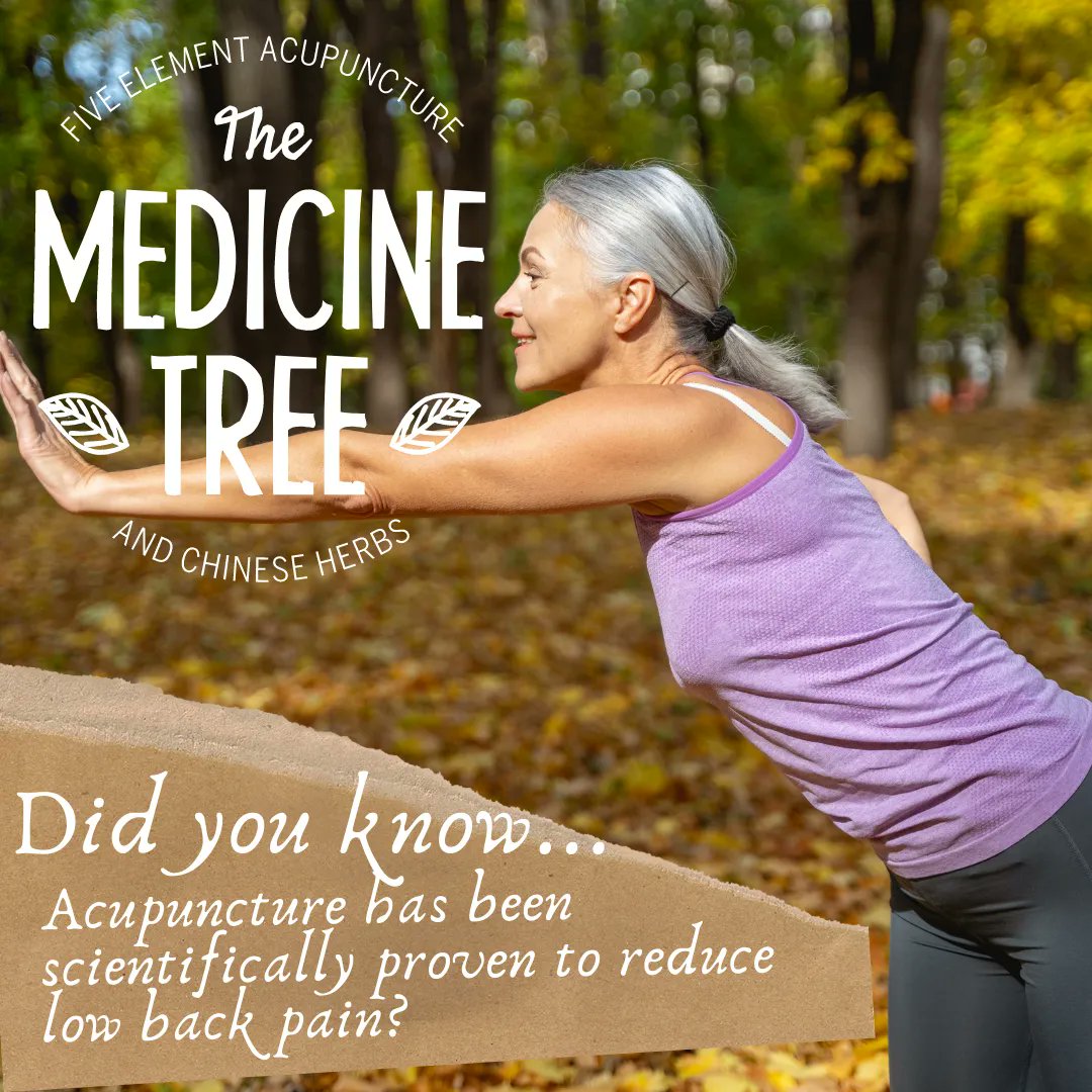 TheMedicineTree's tweet photo. 958 studies of the effectiveness of acupuncture for low back pain done over the last 20 years show conclusive evidence that ACUPUNCTURE WORKS. Over 50% of patients experienced immediate relief from their chronic low back pain. Why not you? 
#lowbackpain #silentdiseases https://t.co/awEdrfggJj