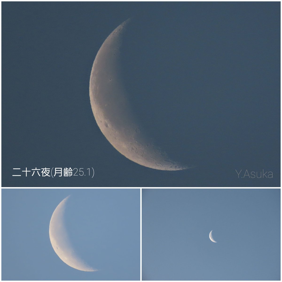 yumeasutw's tweet photo. 穏やかな #有明 の空に🌘 #二十六夜 のお月様(月齢25.1)が南の空高く昇る金曜日の朝🌄
予想最高/最低気温🌡️9℃/-3℃
晴れ☀️
穏やかな冬晴れの👕お洗濯日和となりそうです。
#空の名前
#雲の教室
#天気の図鑑 #雲友
#日の出
#東雲 #ゴールデンアワー
#日光連山
#月 #moon
#a2022 #a0128 #a202201 https://t.co/CFW45yM1Sb