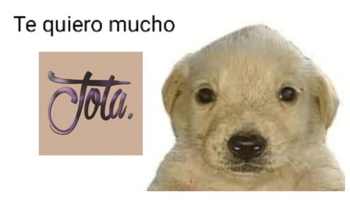 JotaYoutube17's tweet photo. 🥺 https://t.co/WZBPueOO7N