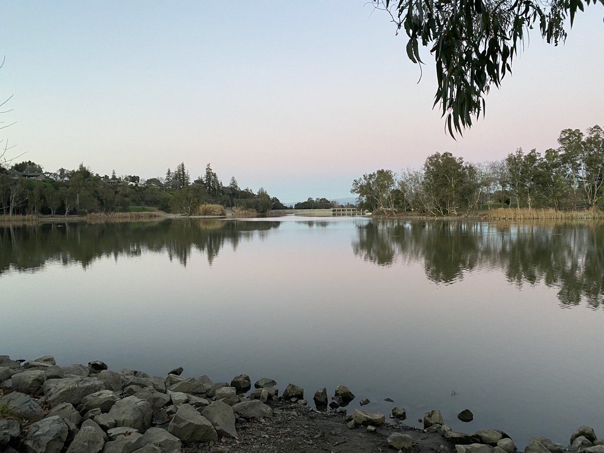 ColonGraceE's tweet photo. #Twilight at #Vasona https://t.co/rz0toT8uM7