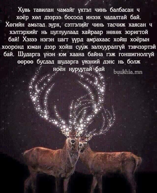 Солонго (@badral50954122) on Twitter photo 