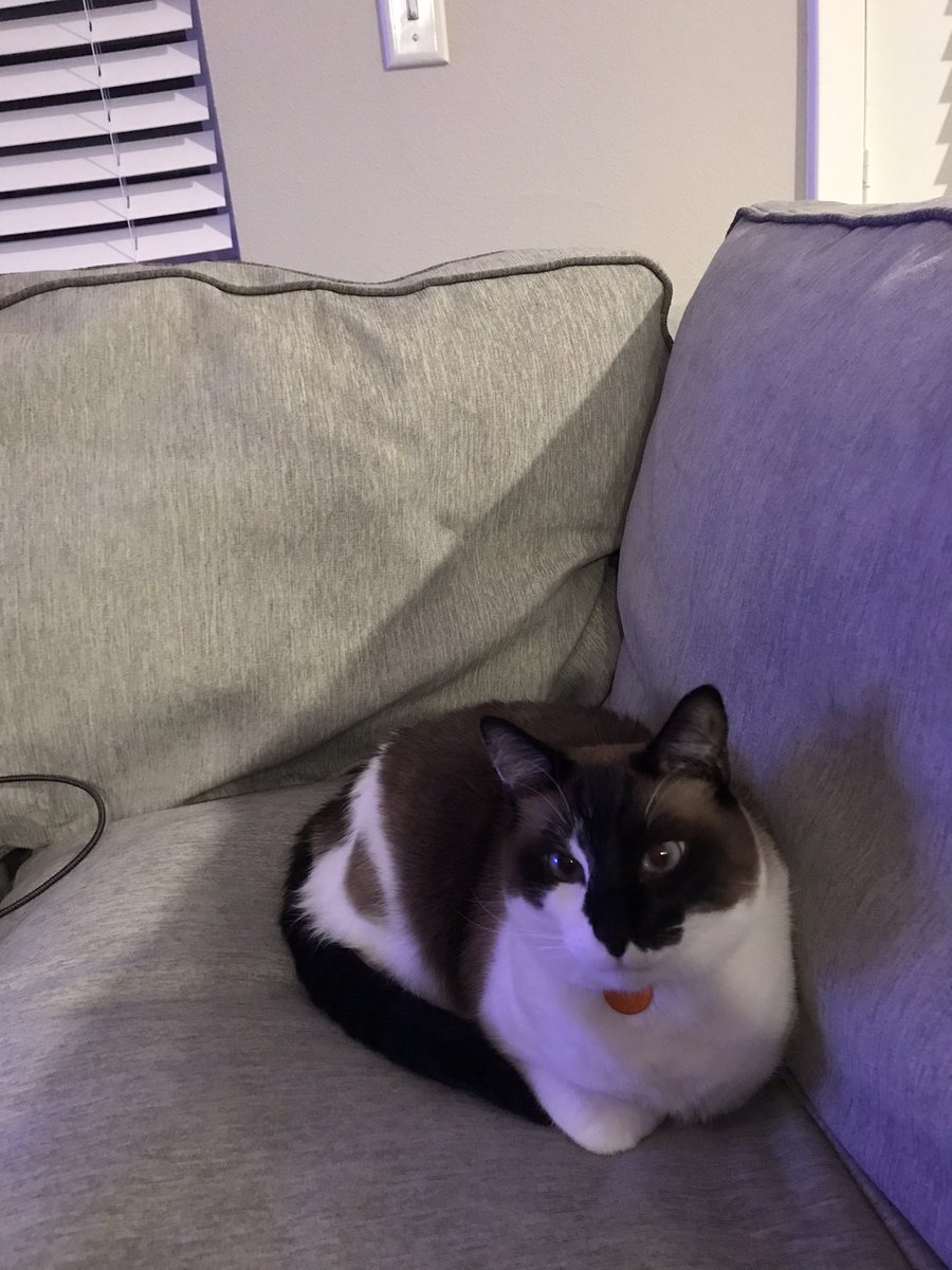 2amwife's tweet photo. Hanging out with my babie son while I watch courage the cowardly dog and try to ignore my headache #justthursdaythings https://t.co/i5YV2j8VoH