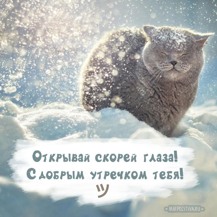 Доброе утро! У нас сегодня опять приморозило, -28 градусов. Дел на сегодня много, так что я приступаю к работе)