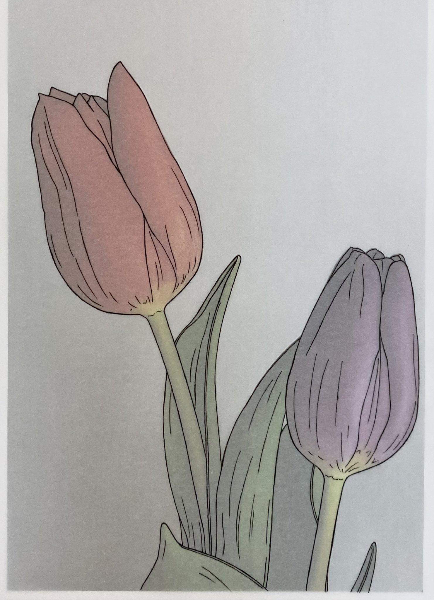 ぬりチャンネルー大人のぬり絵フレーム付ー 塗り絵 お花編 チューリップの線画ができました これでお花の線画が10種類完成しました 順次 塗り方の解説動画を撮影していきます 塗り絵線画 イラスト 絵描きさんと繋がりたい みんなで楽しむtwitter ぬりチャンネルー大人のぬり絵フレーム付ー 塗り絵 お花編 チューリップの線画ができました これでお花の線画が10種類完成しました 順次 塗り方の解説動画を撮影していきます 塗り絵線画 イラスト 絵描きさんと繋がりたい みんなで楽しむtwitter