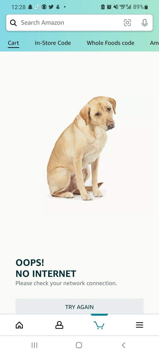 ericafitzcos's tweet photo. Does anyone else feel like the @Amazon "oops" pages (while adorable) are extremely off-brand? https://t.co/wLNQcHs4MS