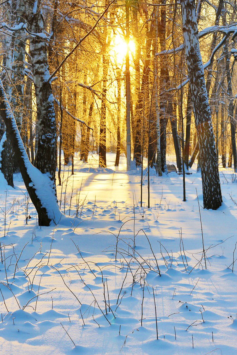 marie_nassar's tweet photo. Good morning Twitter-Friends…☃️❄️🌧☕️🍪
Have a happy Friday and a beautiful weekend ☃️❄️🌷

#FridayThoughts ☃️ #HappyWeekend ❄️ #WinterWeather 🌧 #naturelovers 🌷 #StaySafeStayHealthy 💗 #BeKindAlways 🌸 https://t.co/hVTeOcJLQk