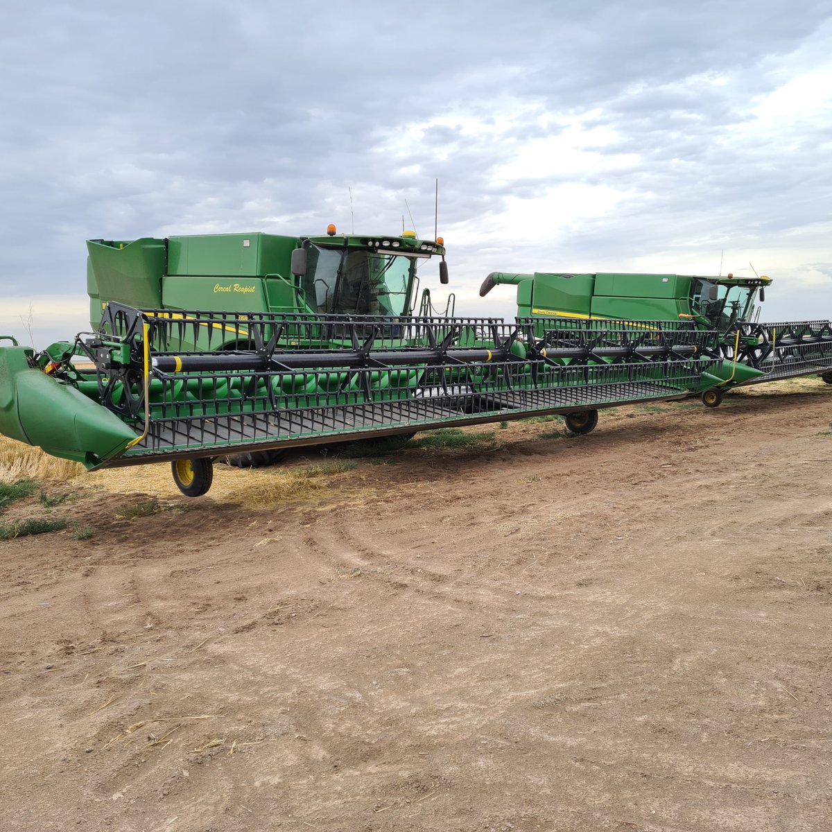 CeRRF_Griffith tweet media