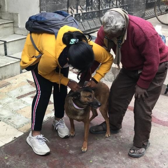 YuvaYoddha's tweet photo. Day 1- distributing dog collars 
We conducted our first on-field activity for our new project today. We had a realization that even these voiceless creatures feel pain. We are glad we could help approximately 30 dogs alone today and hope to help many more in the upcoming days. https://t.co/XqThrd76Un