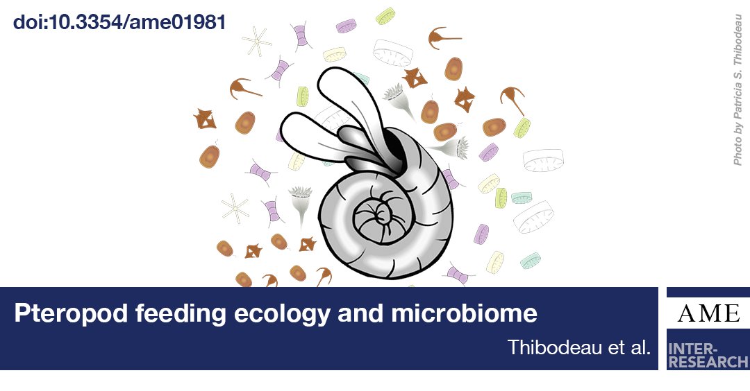 Aquatic Microbial Ecology (AME) tweet media