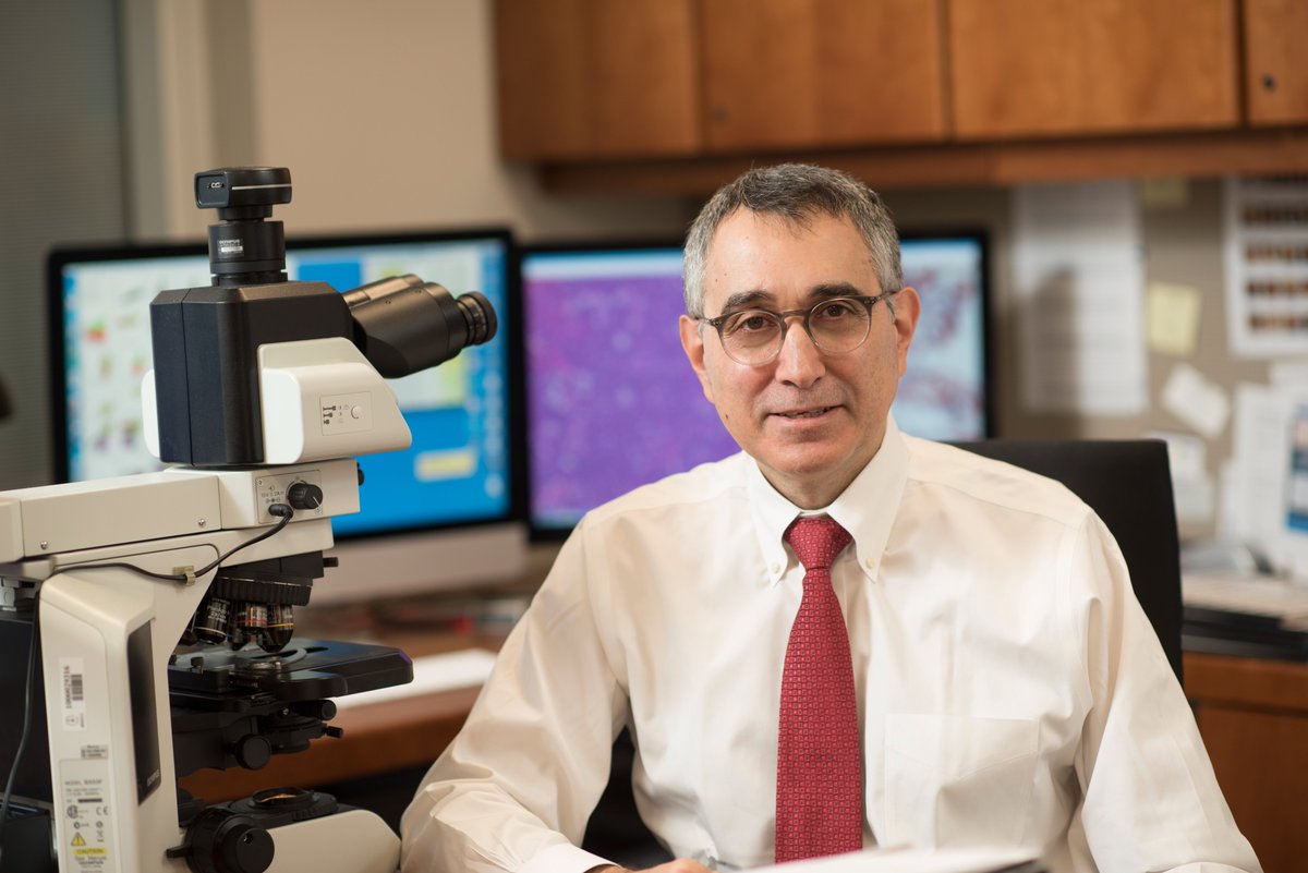 MSK Department of Pathology & Laboratory Medicine tweet media