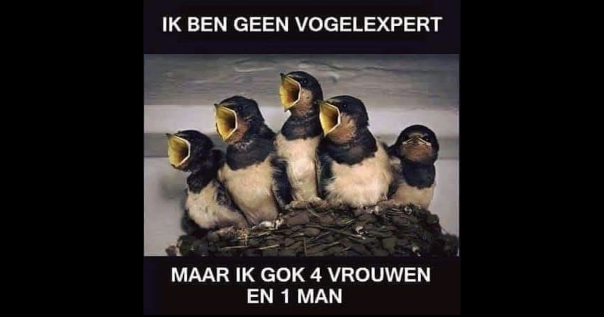 Dat vrouwen meer praten dan mannen is een welbekende mythe die - ondanks gebrek aan bewijs - al decennialang rondgaat. Zou dat bij vogels ook zo zijn?

#nationaletuinvogeltelling