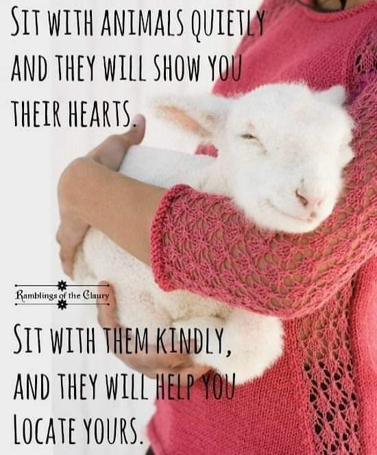 Angie KaranⓋ🌱 tweet media