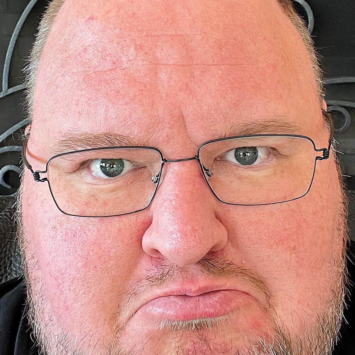 Kim Dotcom tweet media