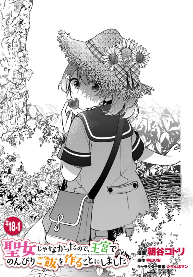 聖女じゃなかったので、王宮でのんびりご飯を作ることにしました　特典セット Amazon.co.jp: 聖女じゃなかったので、王宮でのんびりご飯を作る
